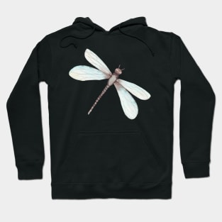 Watercolor Dragonfly Hoodie